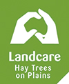 Hay Trees on Plains
