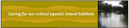 Inland Rivers Network